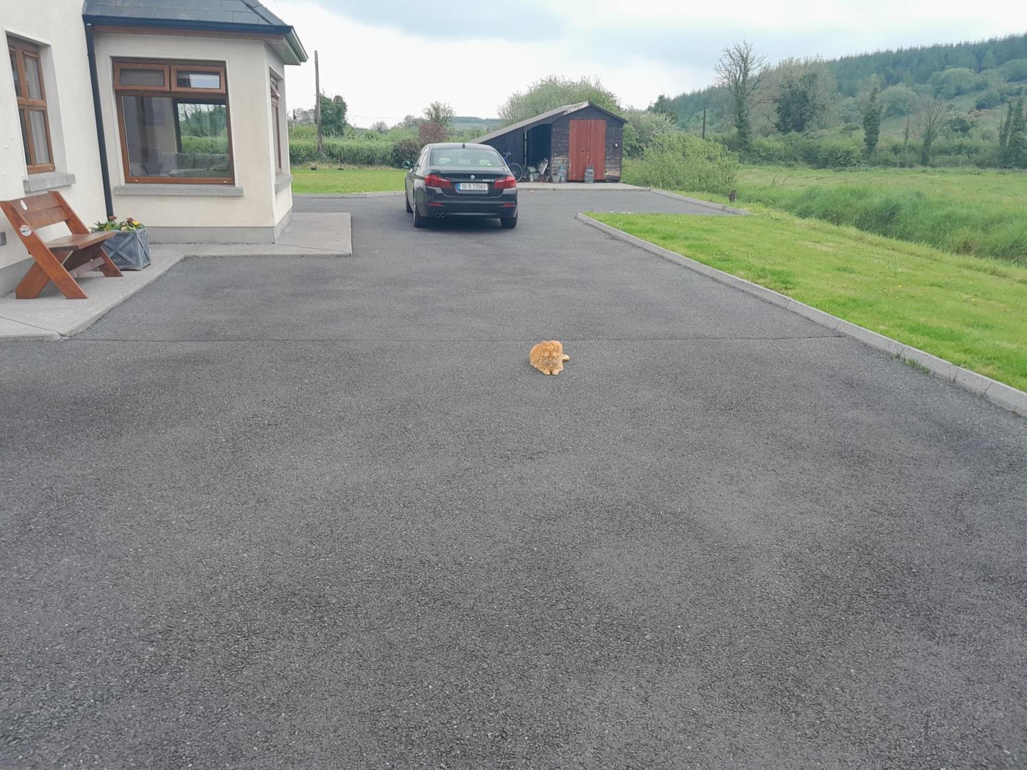 Nature'S Rest Carrick on Shannon 外观 照片